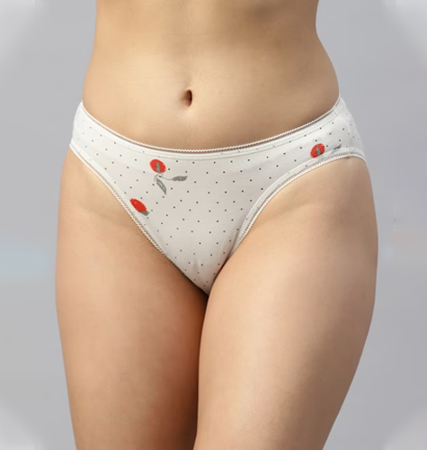 Women Pack of 3 Hipster Briefs T612222